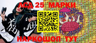 меф Кингисепп