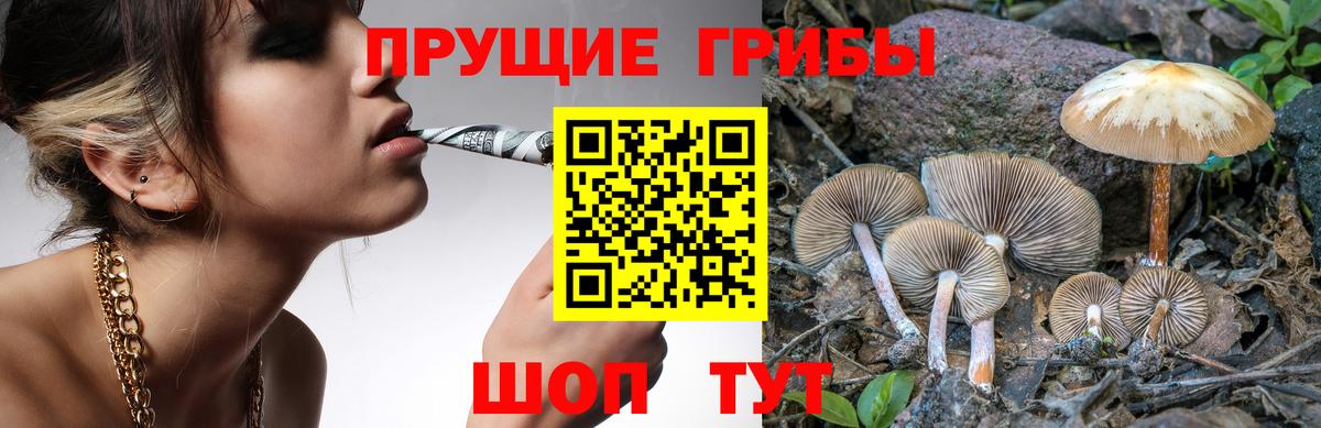 Когалым  Галлюциногенные грибы Cubensis  наркошоп  Вход с VPN 