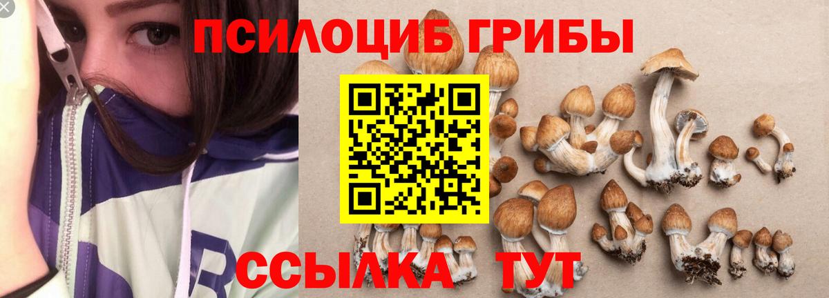 Галлюциногенные грибы Psilocybine cubensis Когалым